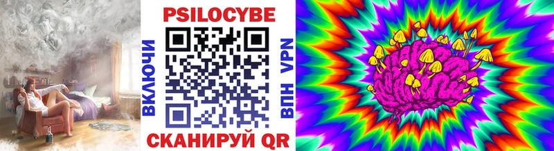 Купить закладки Бирск Псилоцибиновые грибы Psilocybine cubensis